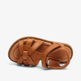 bisgaard bex s cognac