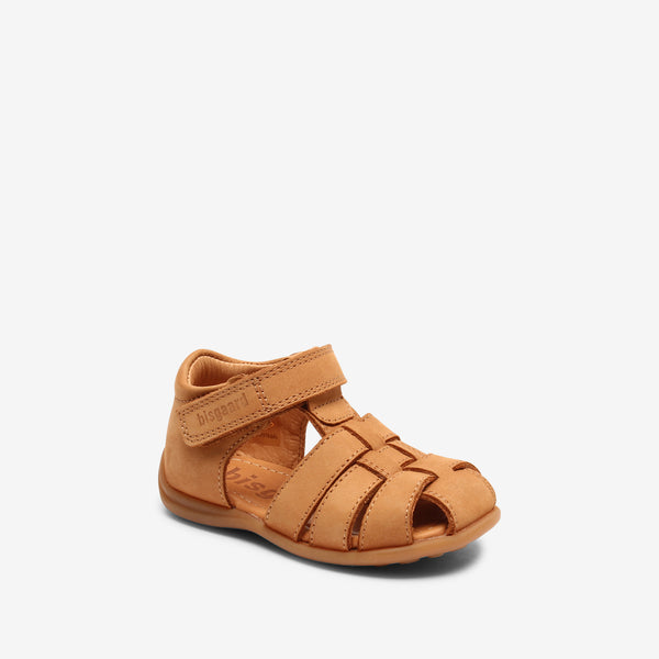 bisgaard carly camel